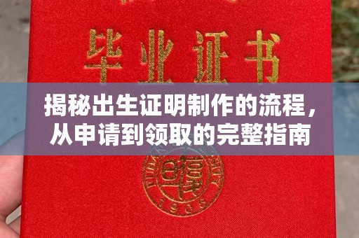 杨浦揭秘出生证明制作的流程，从申请到领取的完整指南