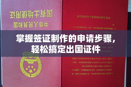 杨浦掌握签证制作的申请步骤，轻松搞定出国证件