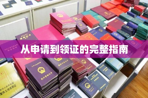 杨浦从申请到领证的完整指南