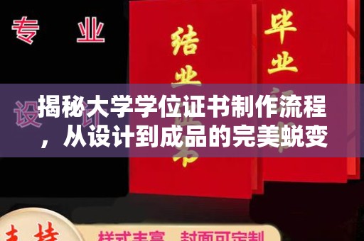 杨浦揭秘大学学位证书制作流程，从设计到成品的完美蜕变