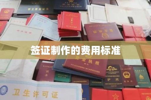 杨浦签证制作的费用标准