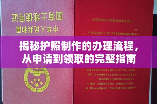 杨浦揭秘护照制作的办理流程，从申请到领取的完整指南