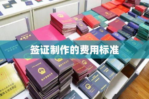 杨浦签证制作的费用标准